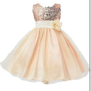 Sparkly Flower Girl Dress